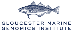Gloucester Marine Genomics Institute