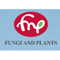 F&P
