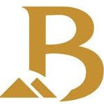 Bhabha Group