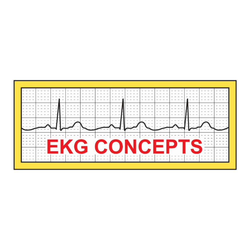 EKG CONCEPTS LLC