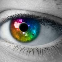 Trail Vision Care Clinic