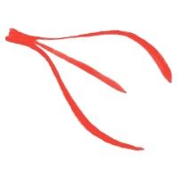 TriFlo Cardiovascular, Inc. logo