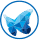 Data Transmission Group
