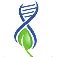 Verne Bioanalytics LLC