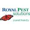 Royal Pest Solutions
