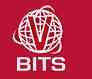 V-Bits