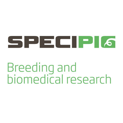 Specific Pig SL