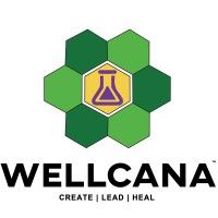 Wellcana Plus LLC