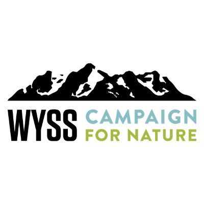 The Wyss Foundation