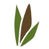 Bamboo Distribution