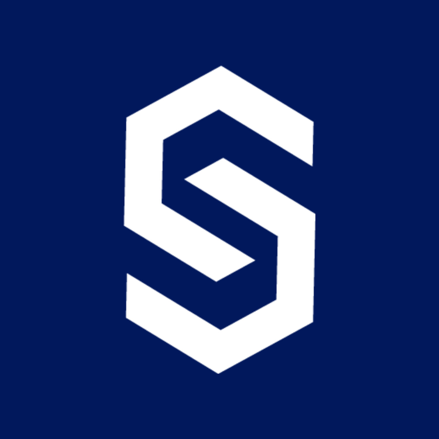Coinstore Logo