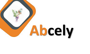 Abcely SAS