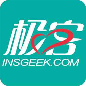 Insgeek
