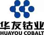 Huayou Cobalt