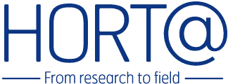 Horta