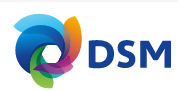 DSM Engineering Materials