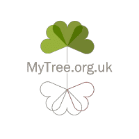 My Tree
