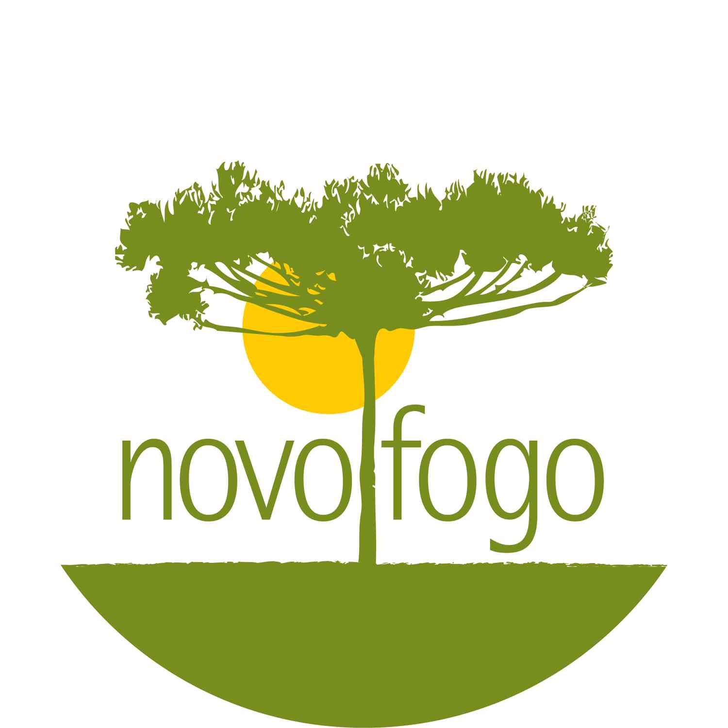 Novo Fogo