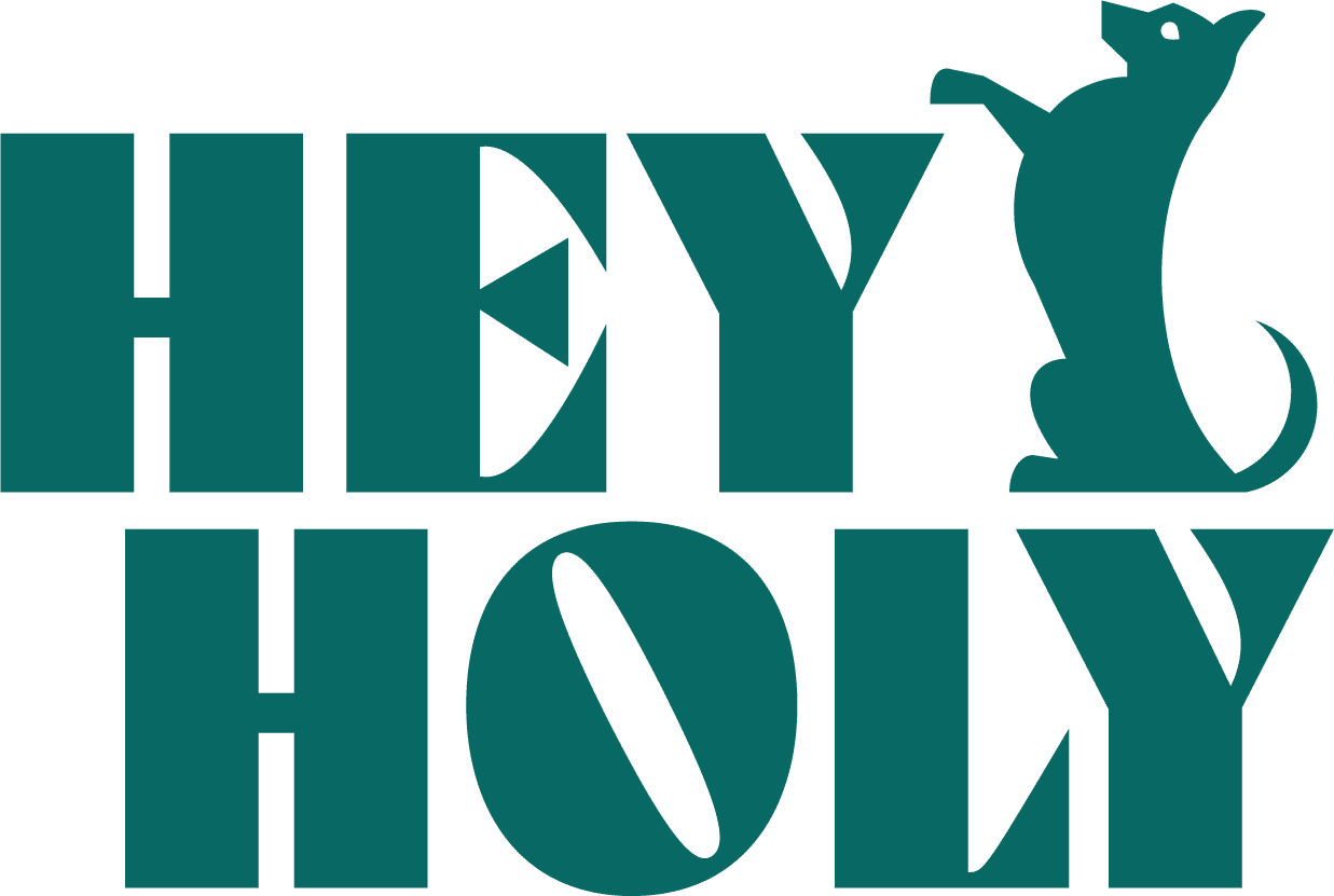 HEY HOLY startup logo