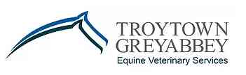 Troytown Greyabbey Equine Veterinary Services