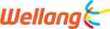 DMB Technology