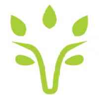 Viridios Capital