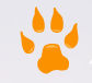 Seawolf Technologies Inc