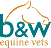 B&W Equine Vets