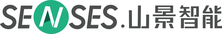 Senses-AI