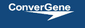 Convergene LLC