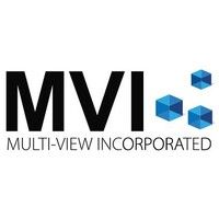 Multi-view Inc
