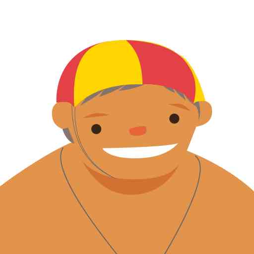 Safe Surfer logo