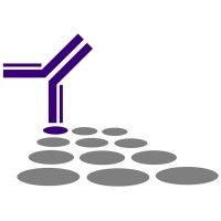 Southern Biotechnology Associates, Inc.