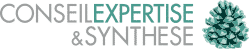 Conseil Expertise & Synthese