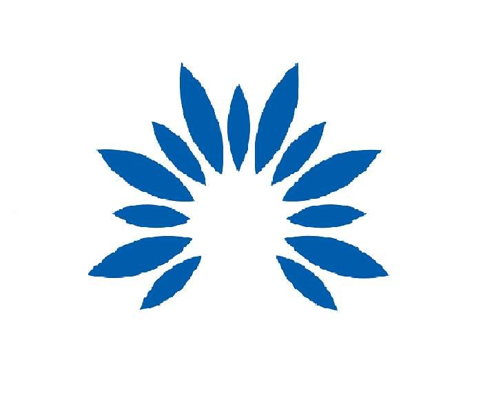 Flower Orthopedics Corp.