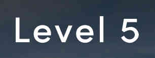 Level 5