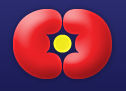 Kidney Group of South Florida, P.A.