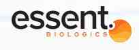 Essent Biologics