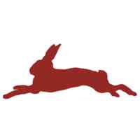 Red Hare Digital