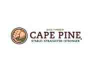 Cape Pine Investment Holdings