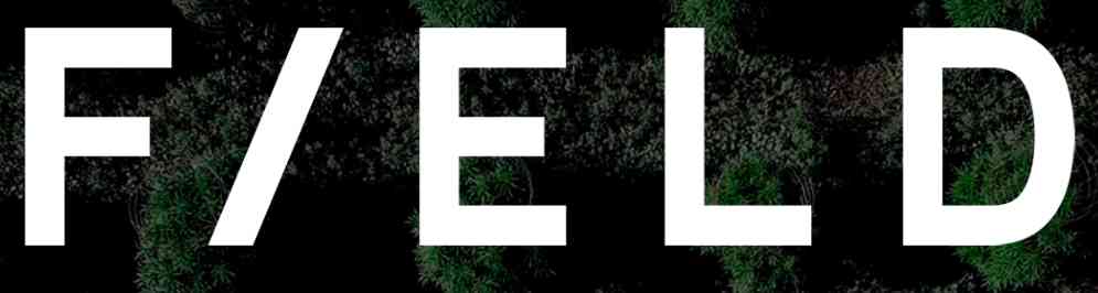 F/ELD