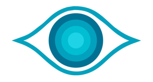 IrisVision Global, Inc.