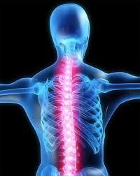 Fairway Chiropractic Centre