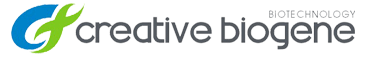 Creative Biogene, Inc.