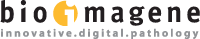 BioImagene, Inc.