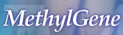 MethylGene