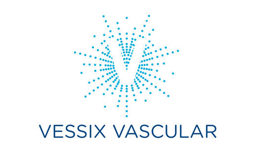 Vessix Vascular, Inc.