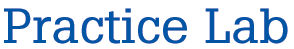 Practice Lab, Inc.