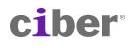 CIBER International LLC