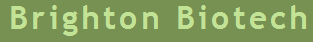 Brighton Biotech, Inc.